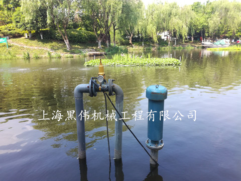 河道治理沉水式鼓WWW.茄子视频.COM