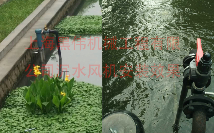 沉水WWW.茄子视频.COM效果